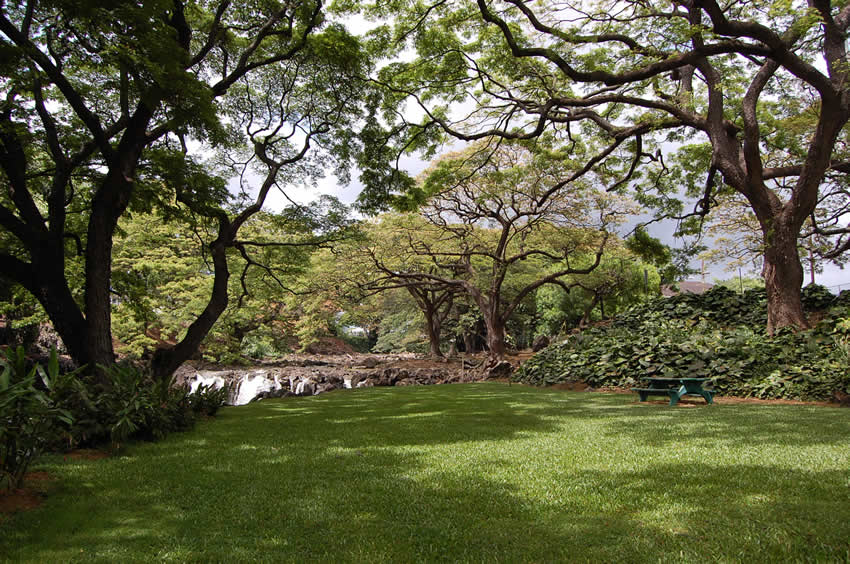 Picnic Area