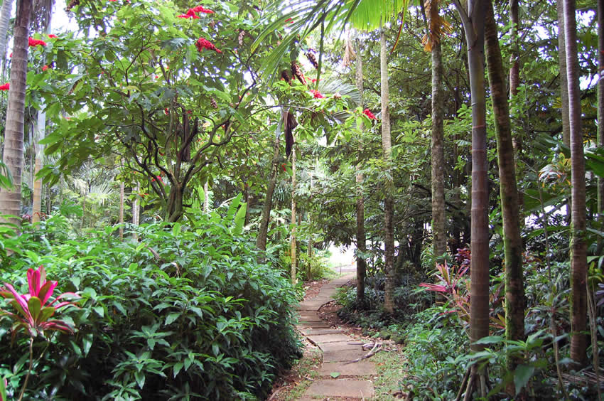 Main Trail