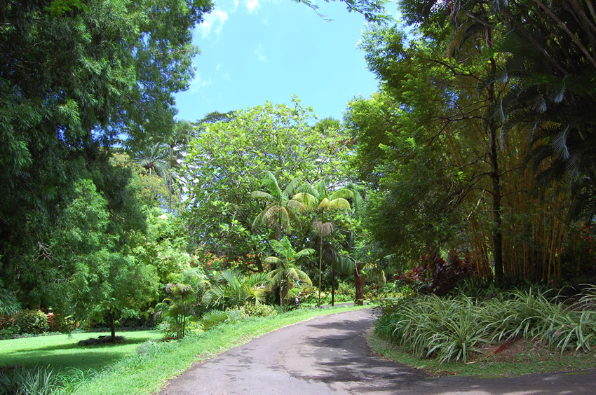 Scenic Road