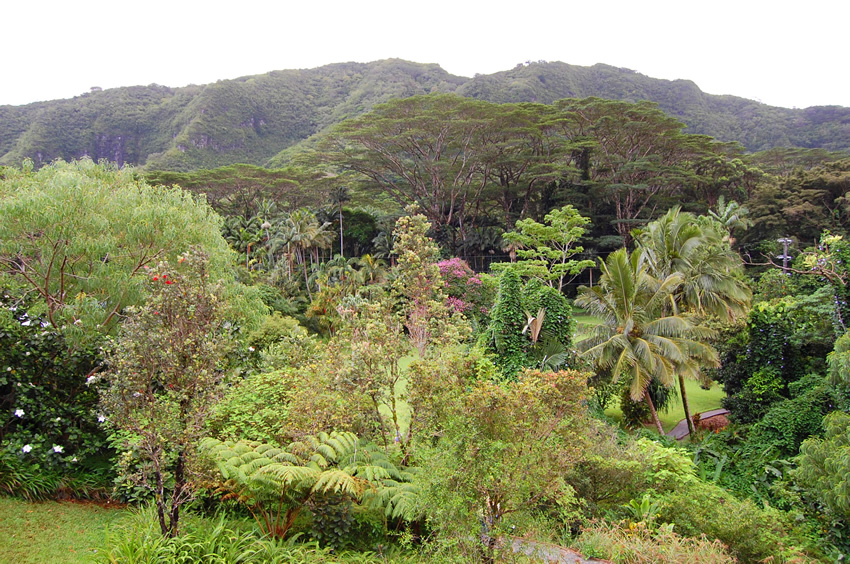 Scenic Spot Near the Visitor Center
