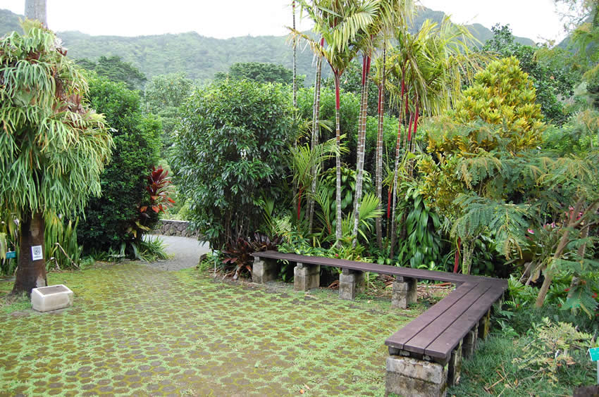 Sitting Area