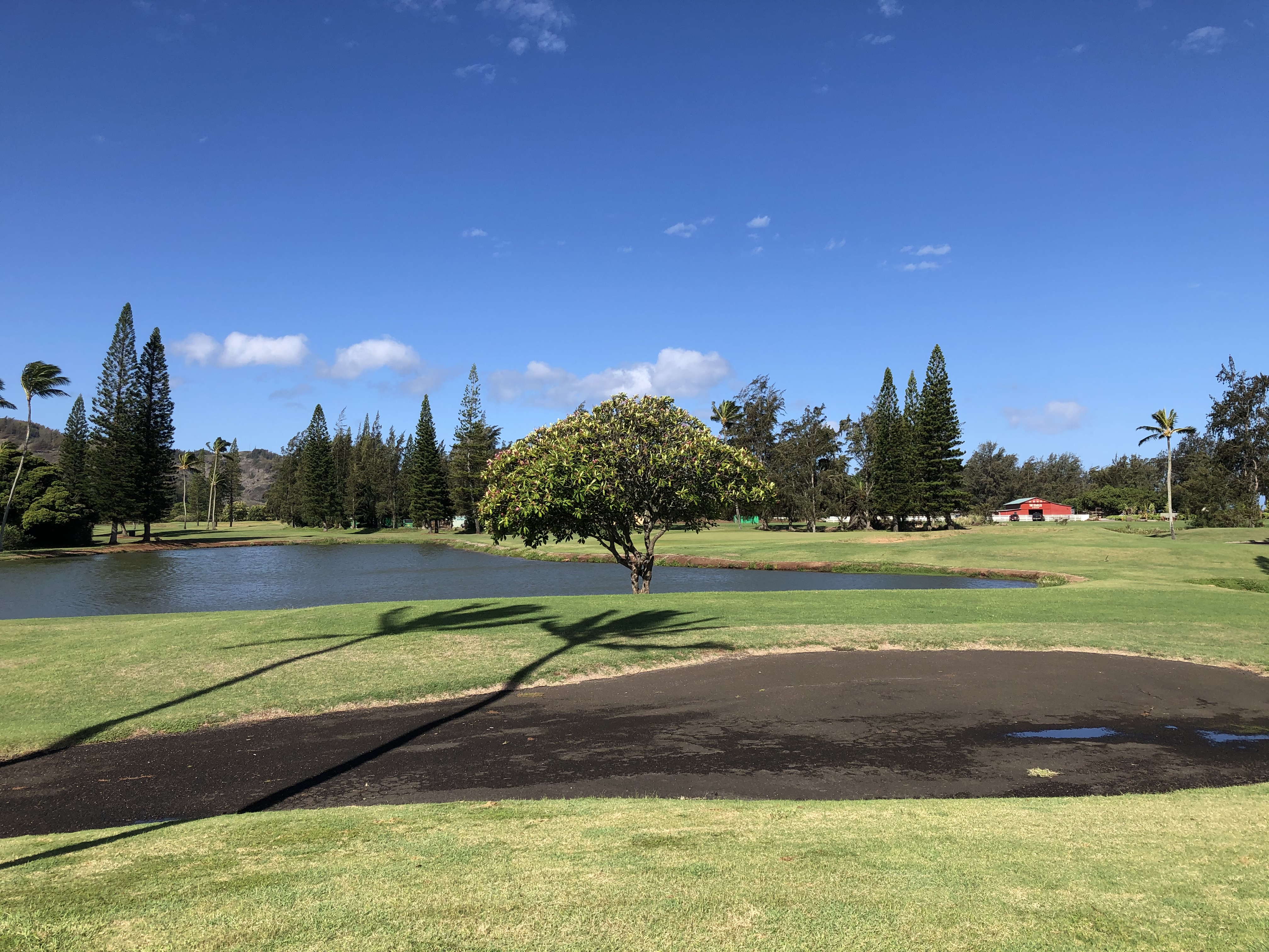 Fazio Golf Course 01