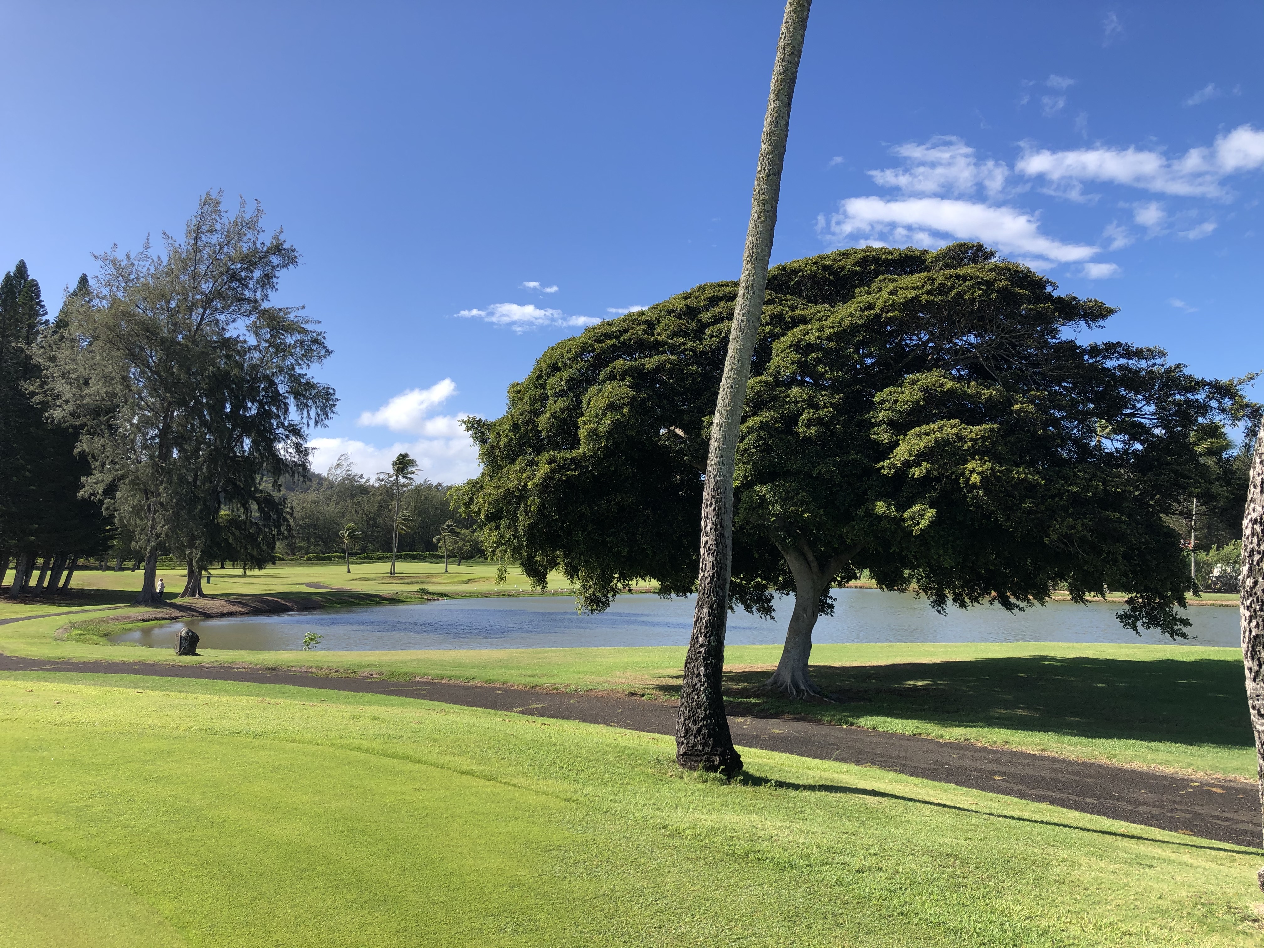 Fazio Golf Course 02
