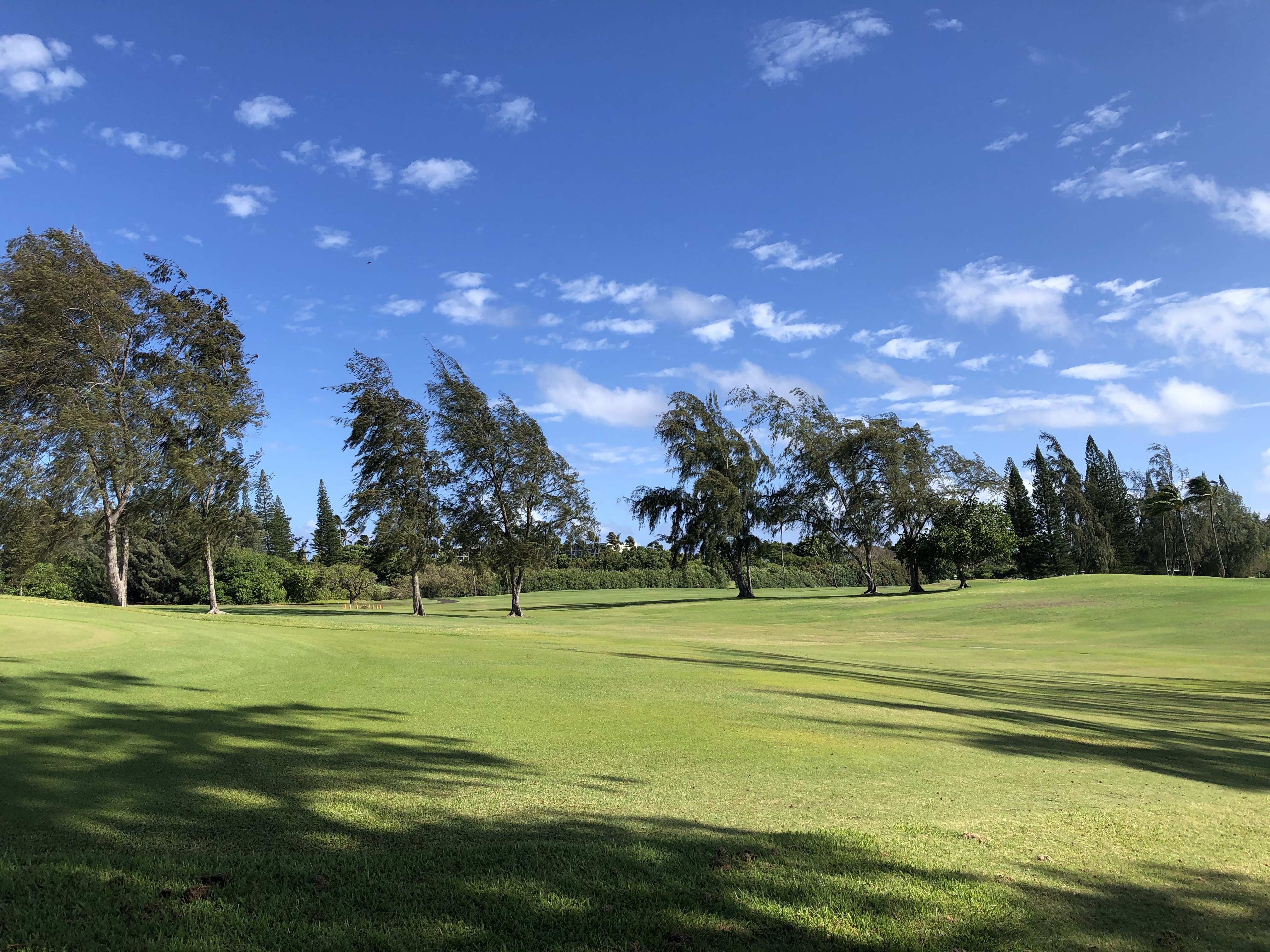 Fazio Golf Course 04