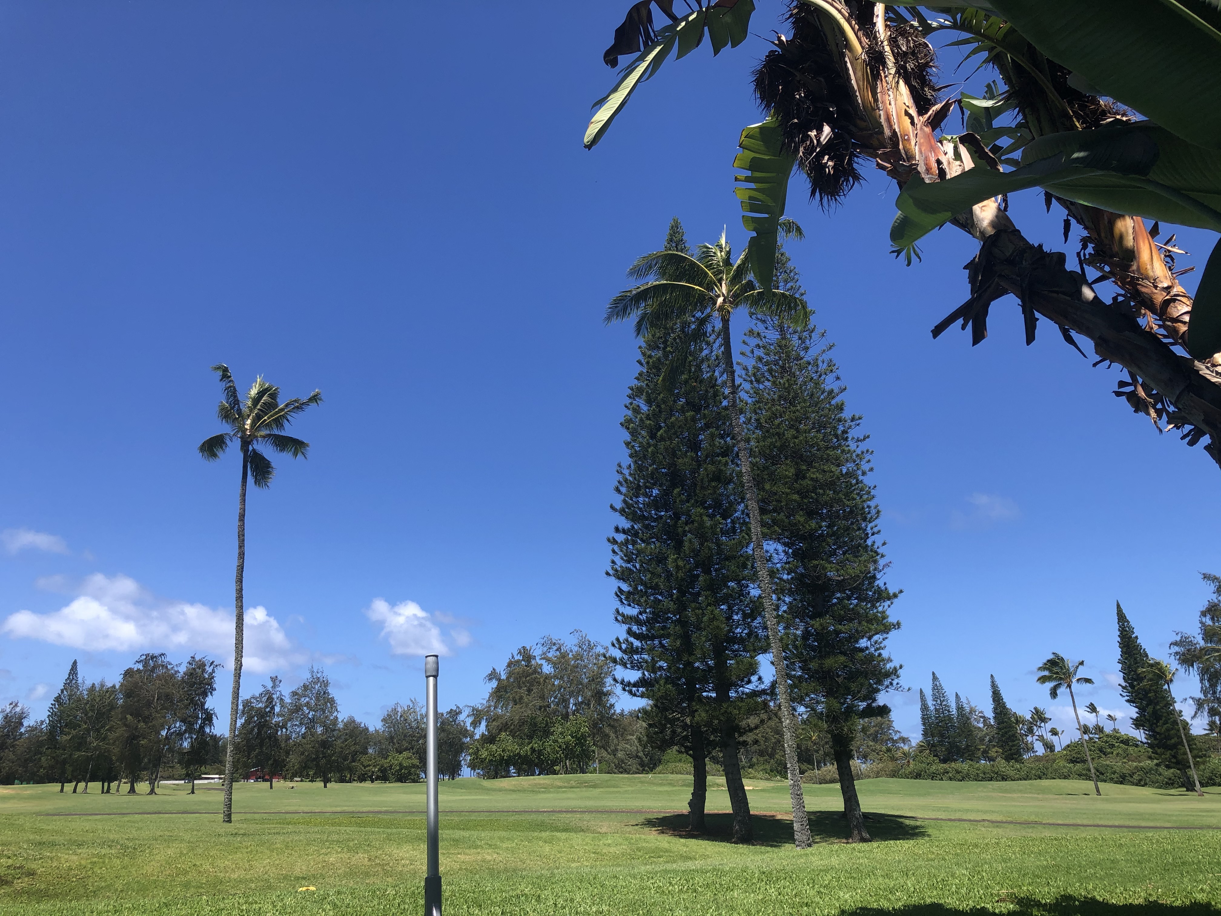 Fazio Golf Course 05