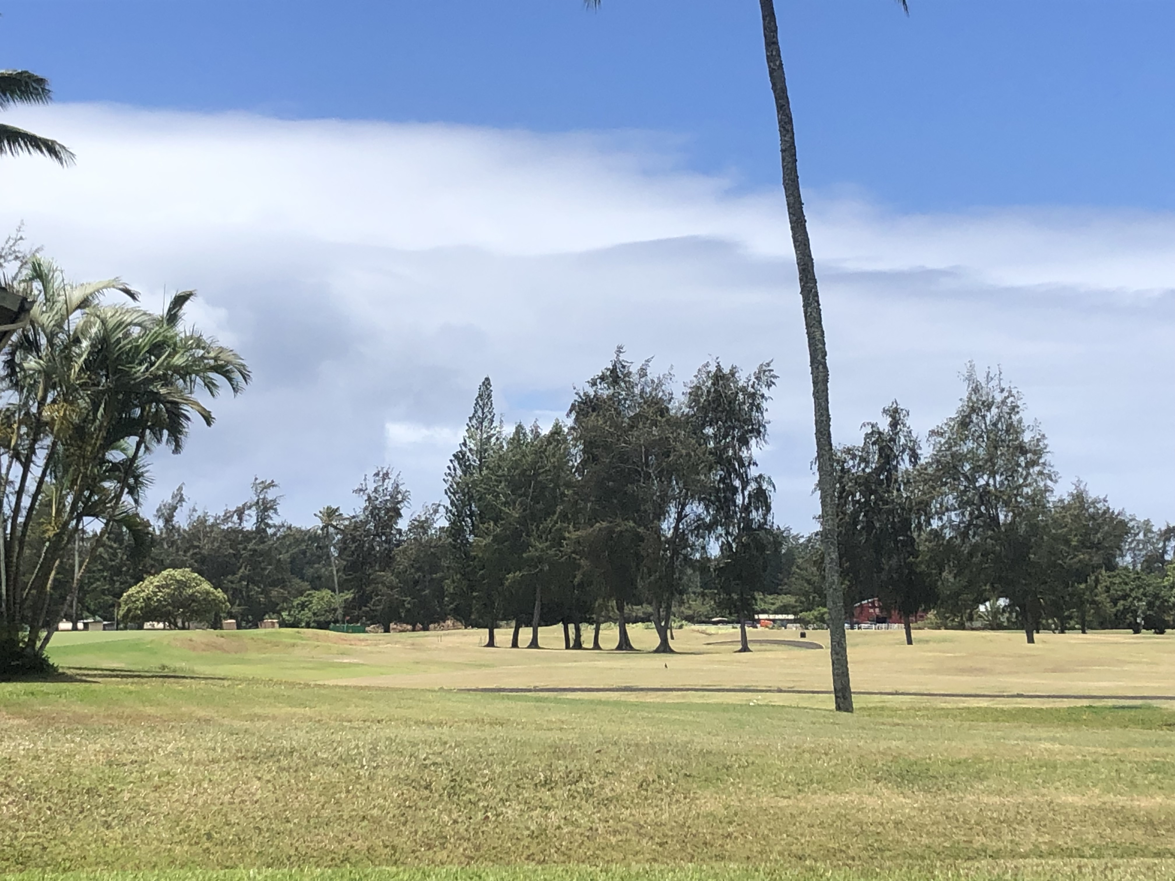Fazio Golf Course 06
