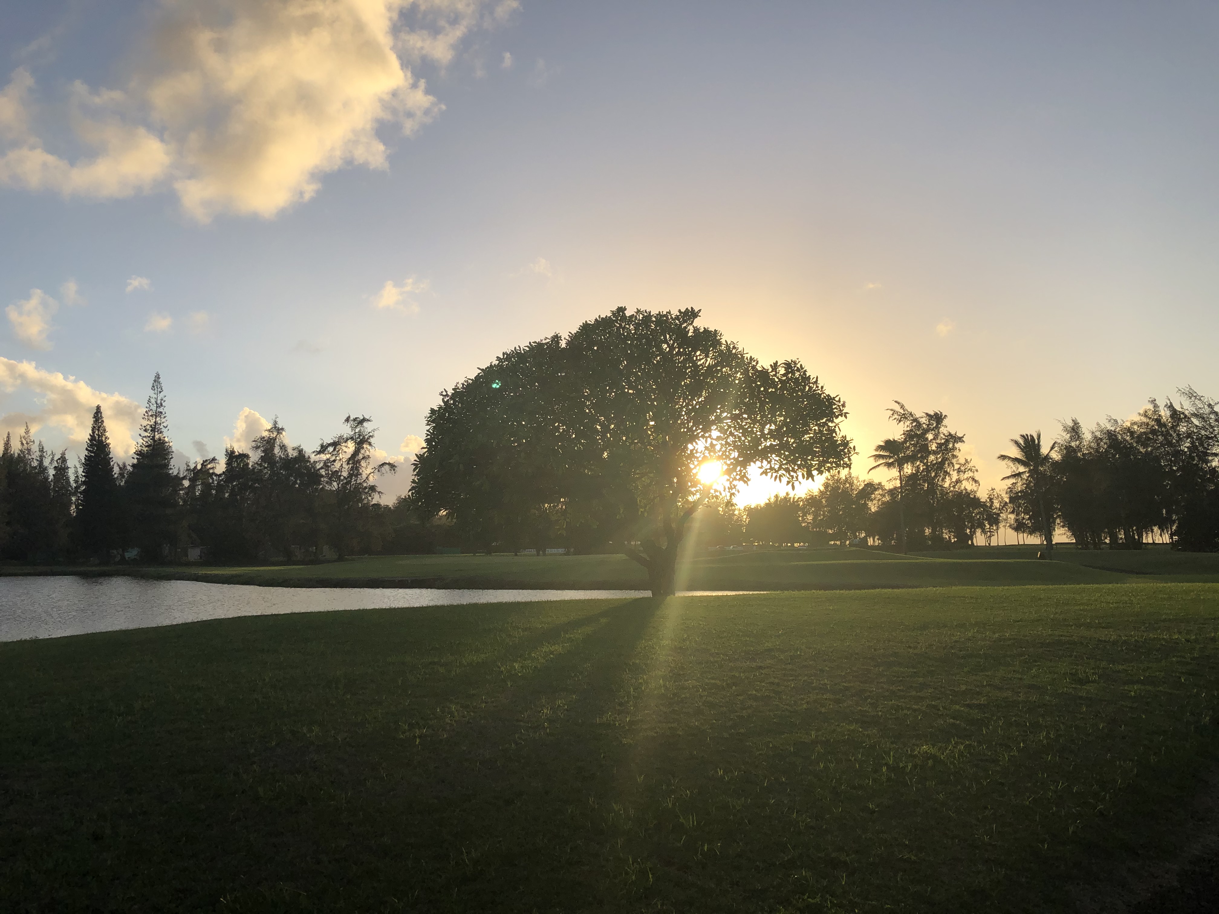 Fazio Golf Course 08