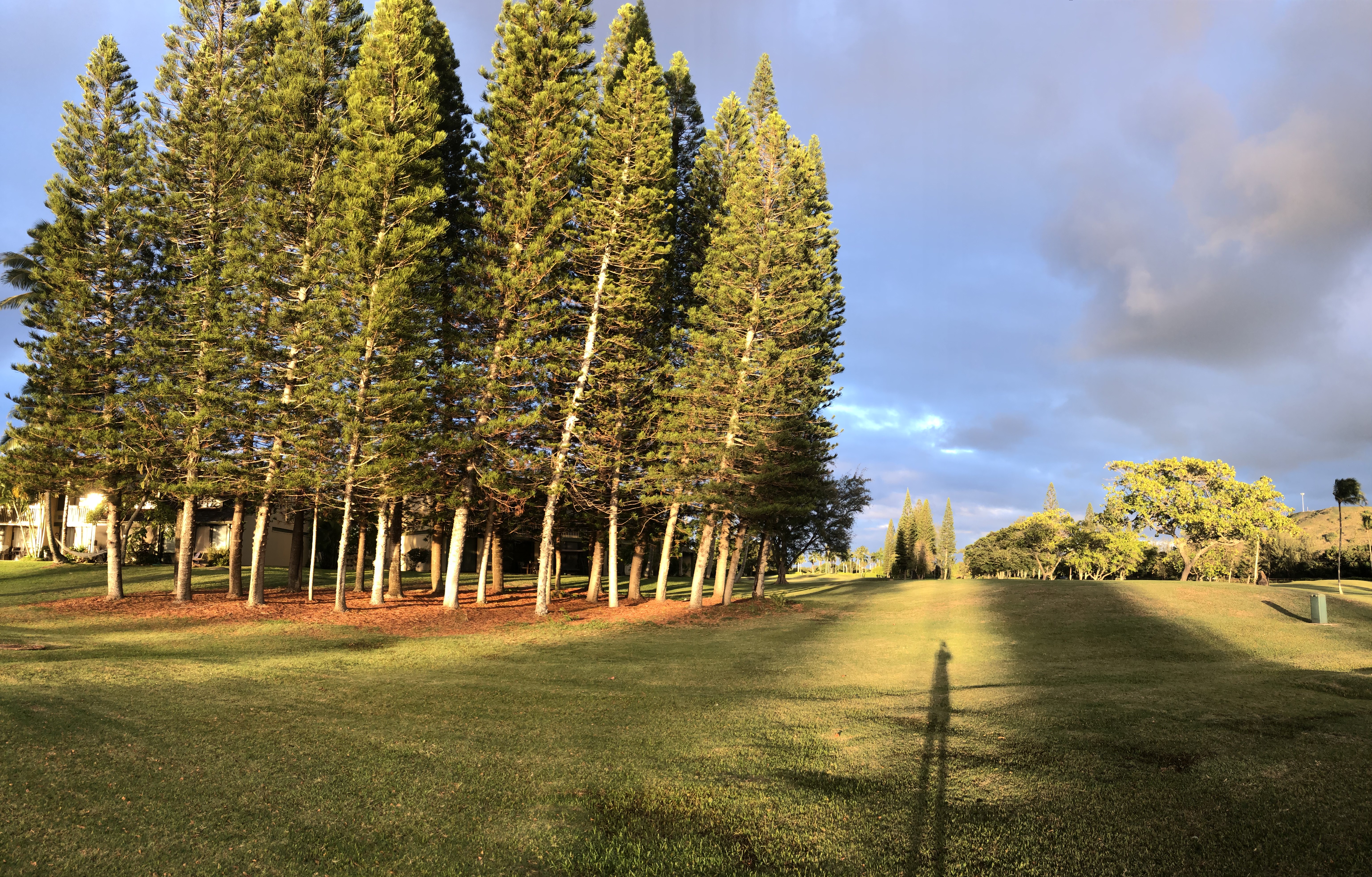 Fazio Golf Course 09