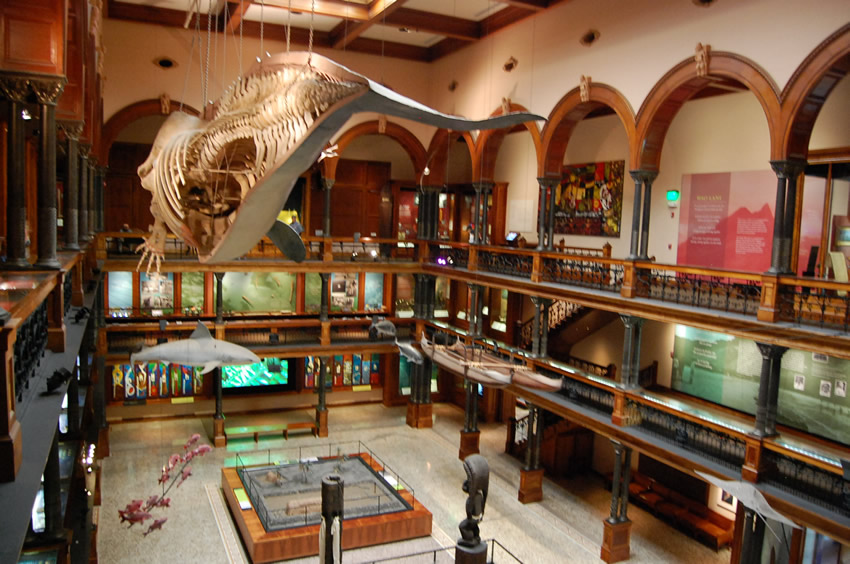 Hawaiian Hall Interior