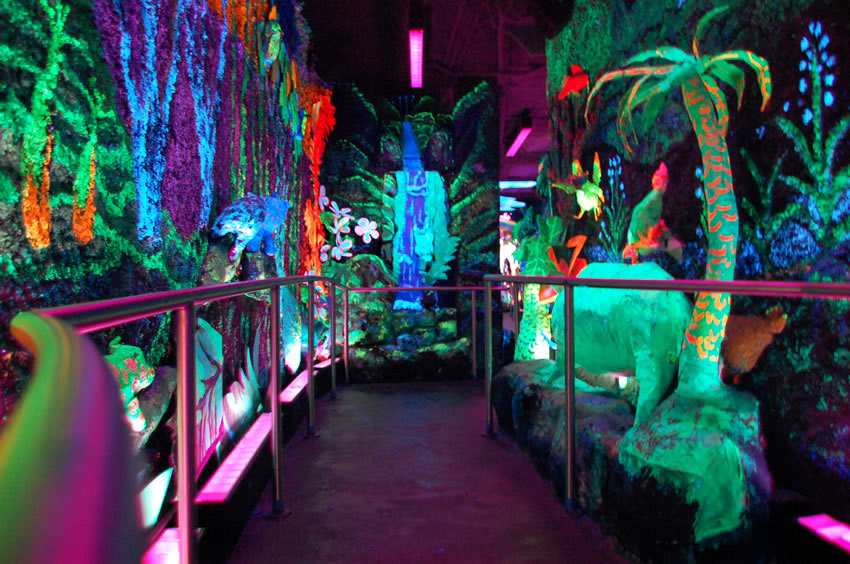 Richard T Mamiya Science Adventure Center Interior