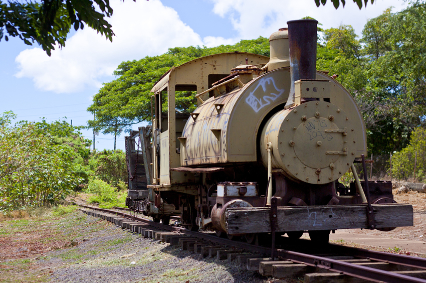Old Plantation Train