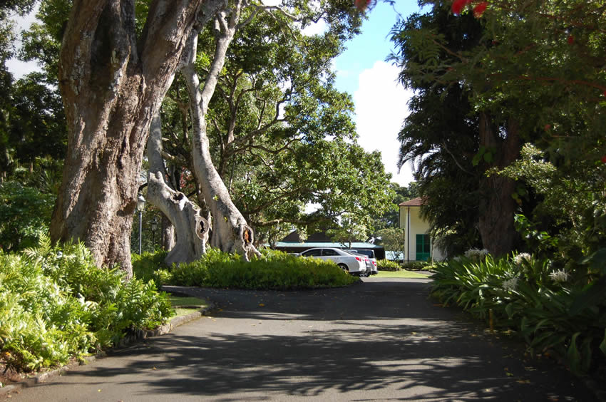 Road to the Palace