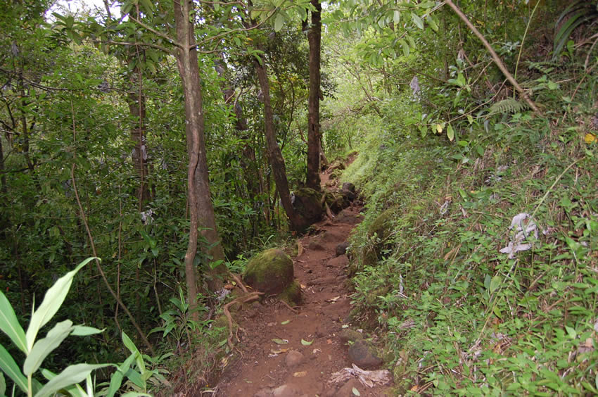 Narrow Part of the Trail 2